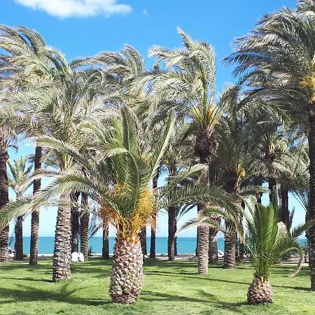 Apartamento , Torremolinos, Calle De Las Mercedes 16. * Torremolinos